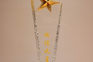 喜報(bào)！城投公司被評(píng)為 2023年度奉賢區(qū)“誠(chéng)信之星”企業(yè)